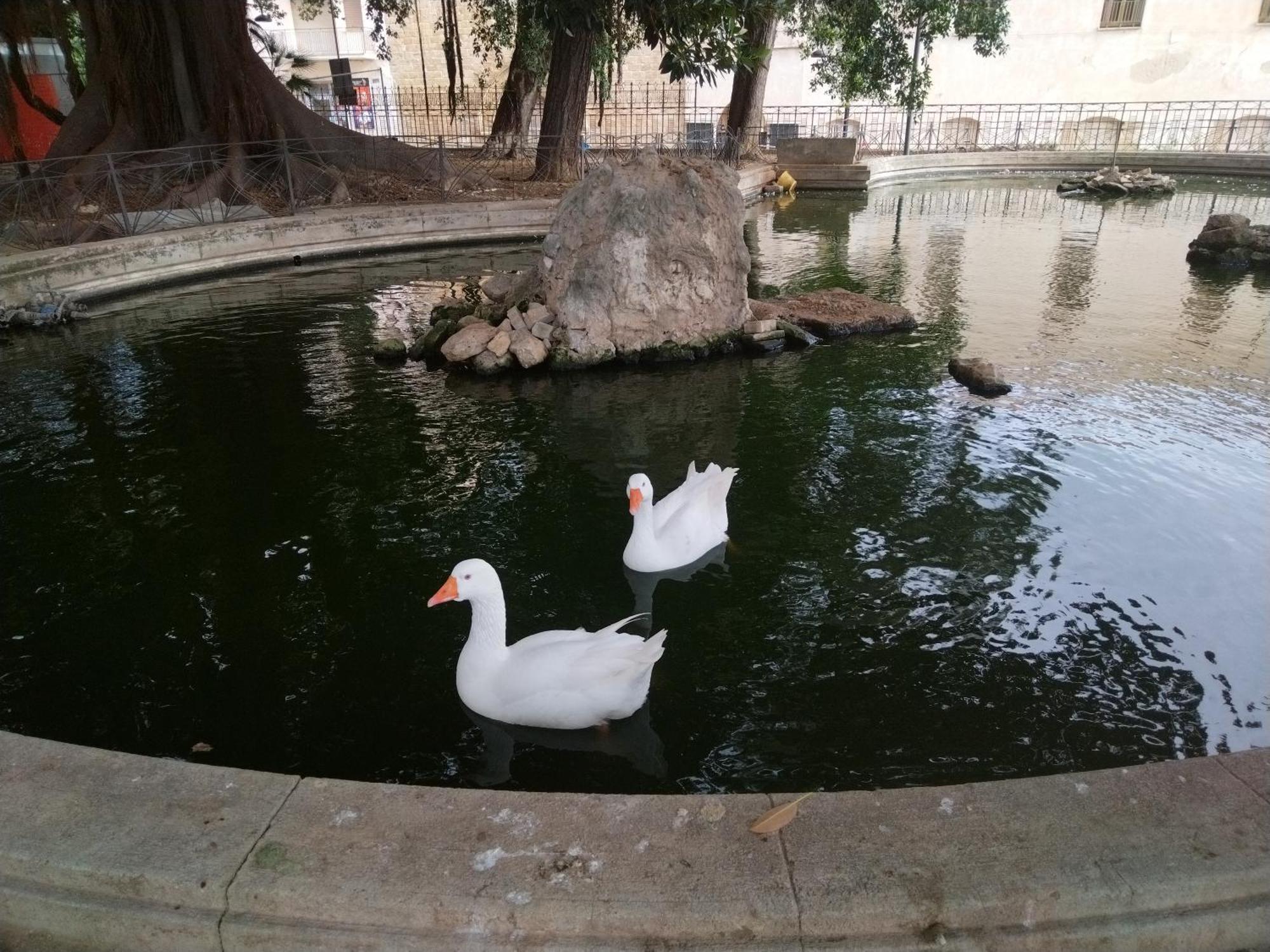 הוילה שאקה La Casuzza Del Centro מראה חיצוני תמונה